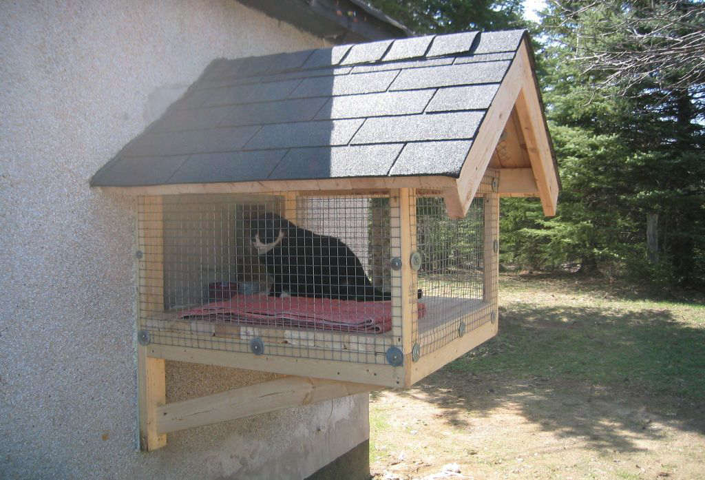 2nd stage cat pen in